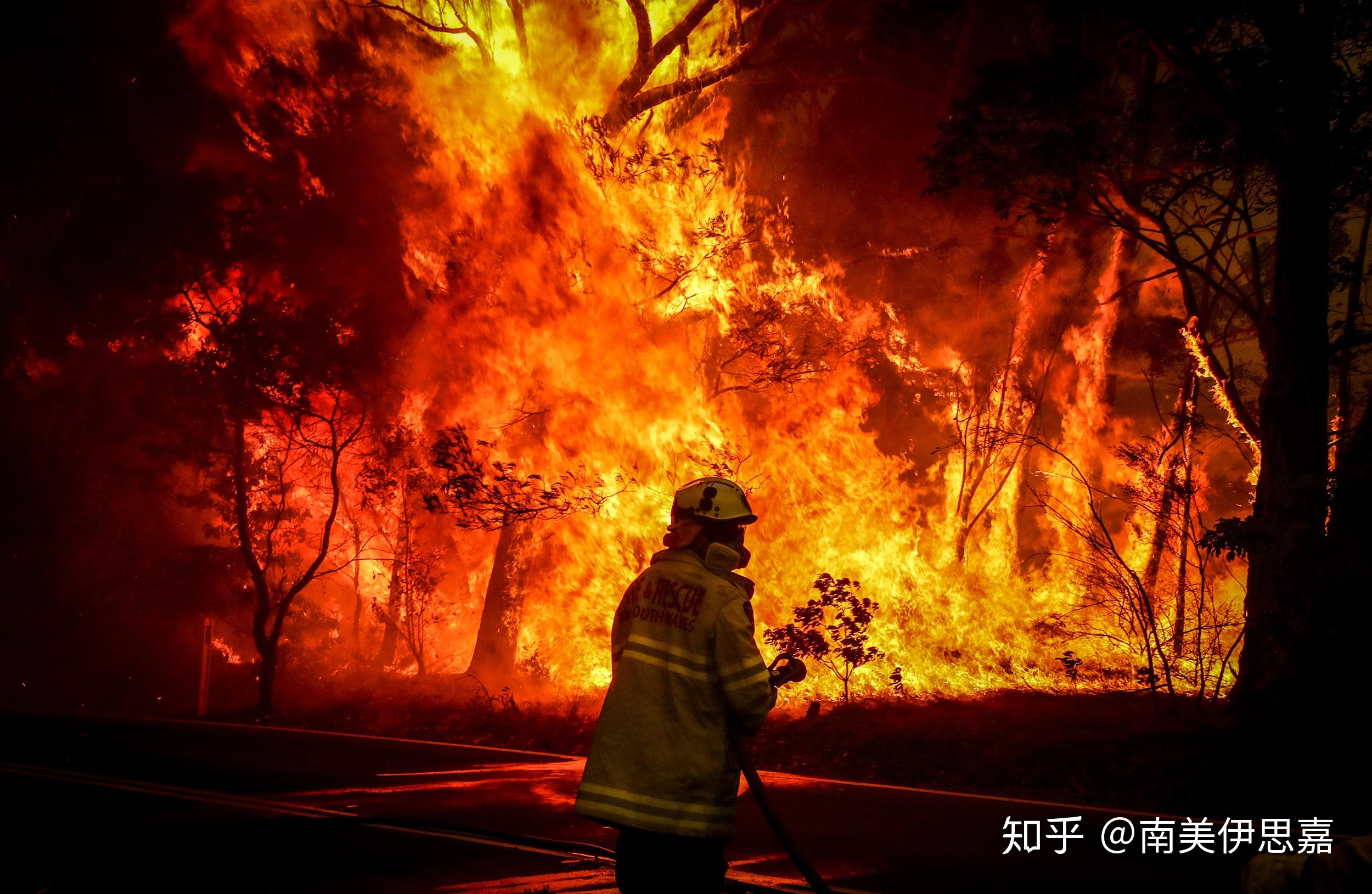 数千人逃难5亿动物死亡澳山火烟雾至南美澳洲大火为何烧了4个月还没被