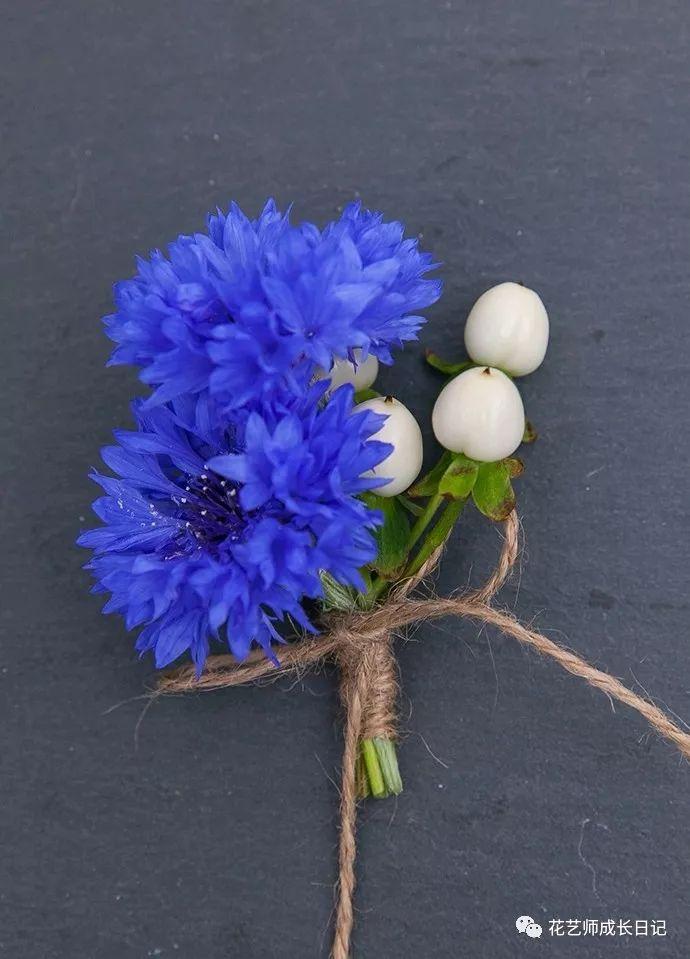 蓝色除了大海和天空还有这8款蓝色花材