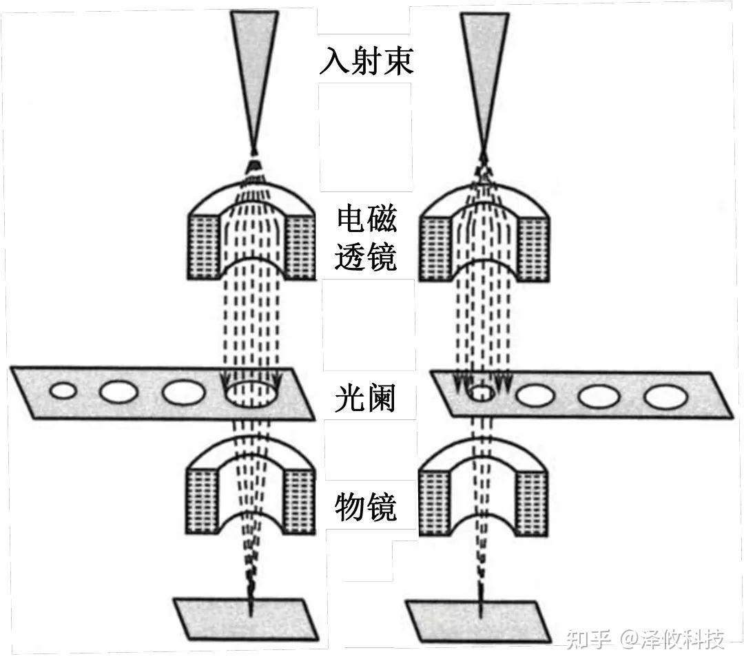 泽攸科普——扫描电子显微镜(SEM)超全讲解 - 知乎