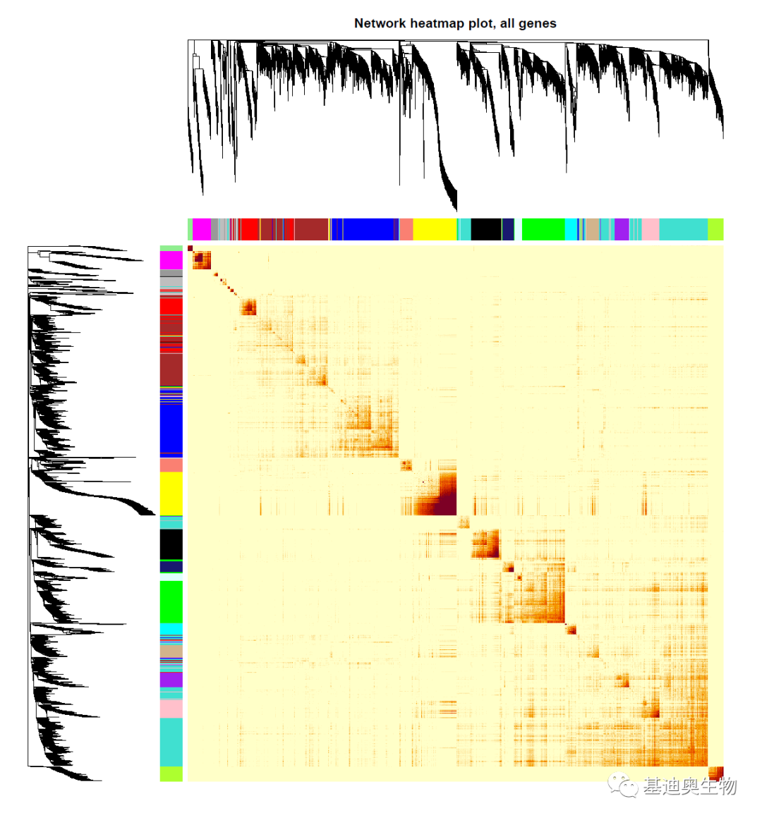 如何绘制基因共表达热图？ 知乎