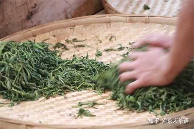 为什么好茶一定要经过揉捻? - 知乎