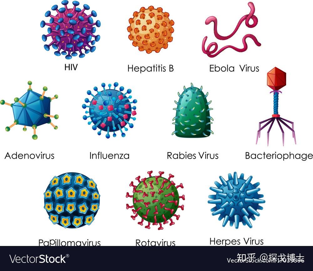 生活在病毒星球