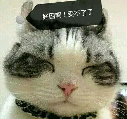 的小学生金融常识碾压我们(索引留学小编这种程度),一点儿不夸张啊!