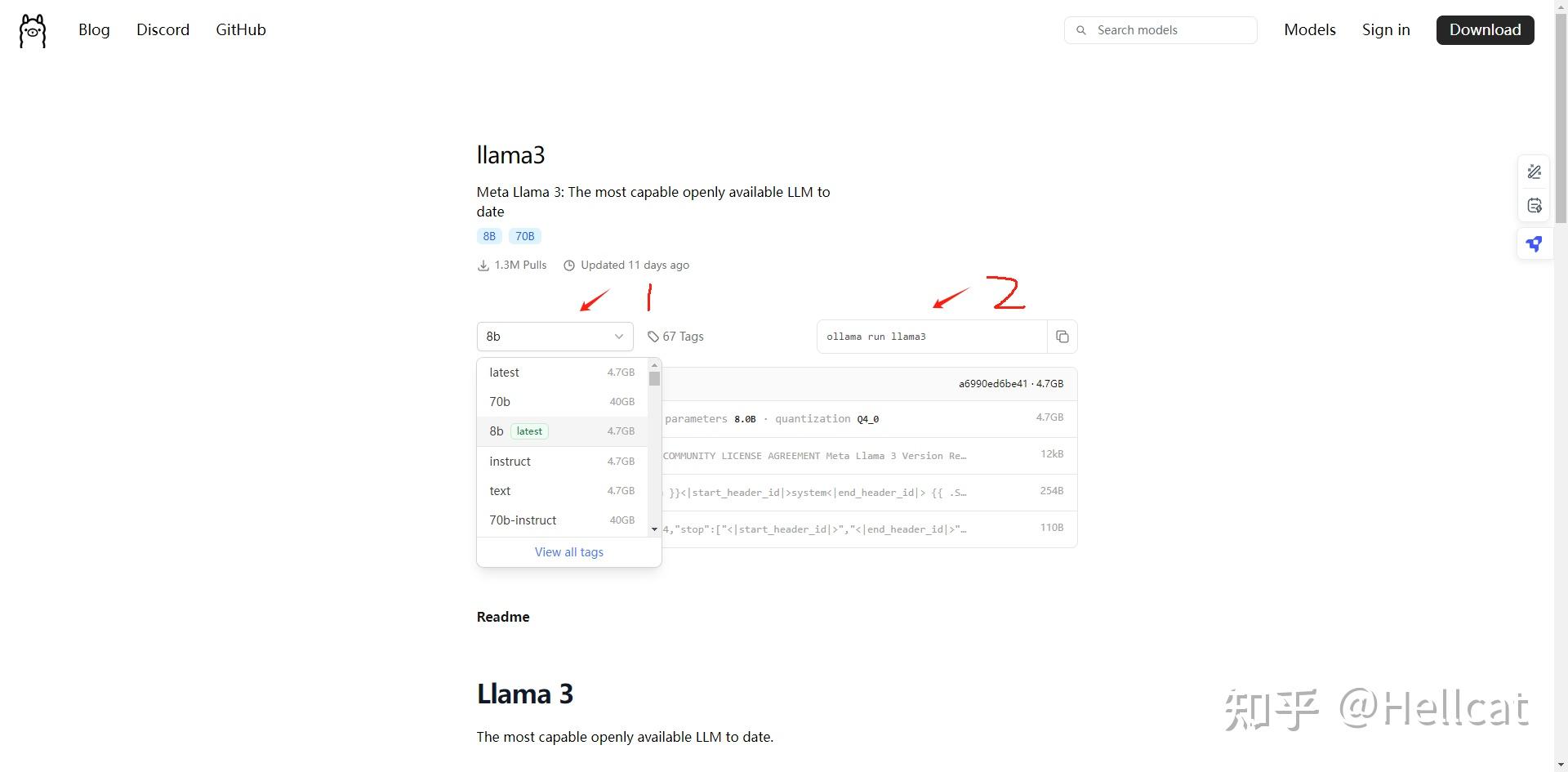 Ollama web ui continue 
