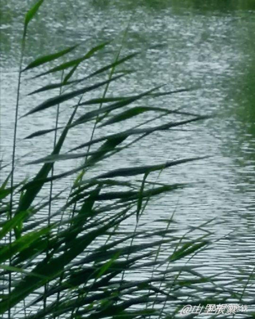 秋雨清秋 