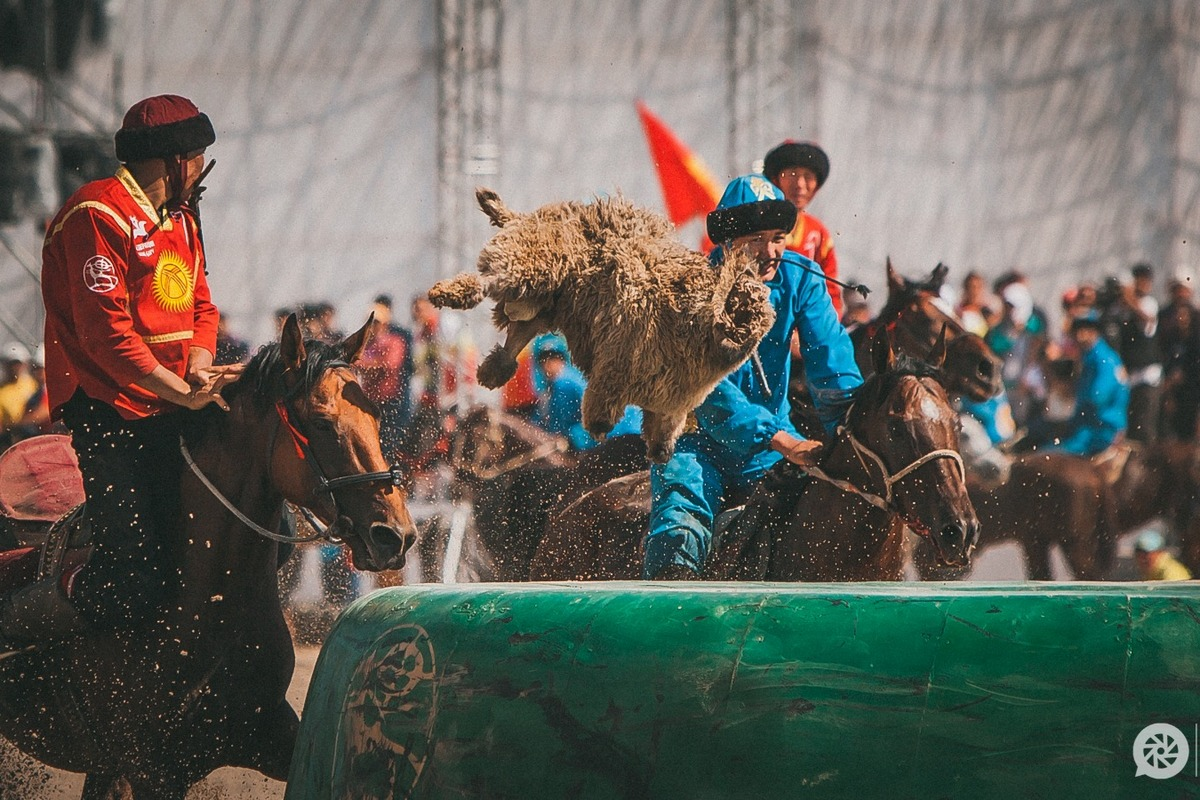 当代游牧民族谁最强?全景回顾吉尔吉斯游牧民运动会