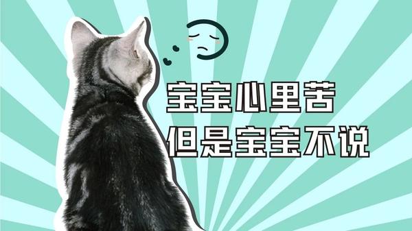 算命的说喵星人吃不出甜味,那我的蛋糕不是白喂了?