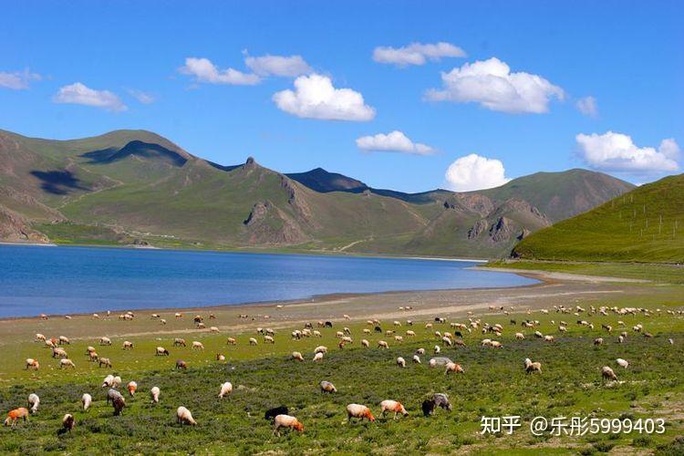 西藏”圣湖“——羊卓雍错旅游指南! - 知乎