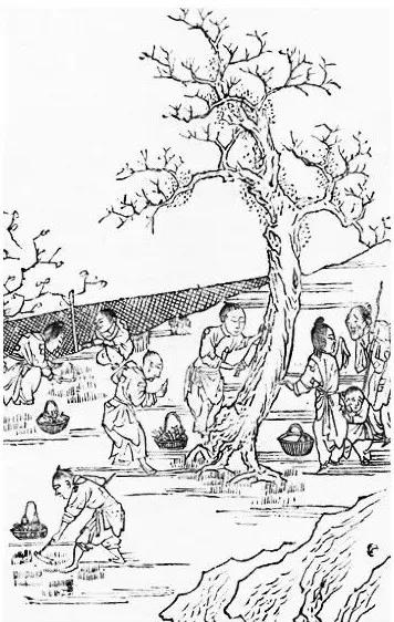 河南奇荒铁泪图》的其中一幅，表现的是灾民剥树皮、挖草根做食物的场景。