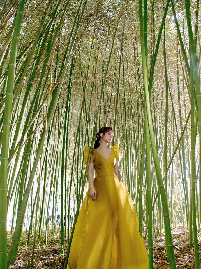 近日,杨紫出席某颁奖典礼并拍摄了一组写真.置身于竹林秘境,如出逃