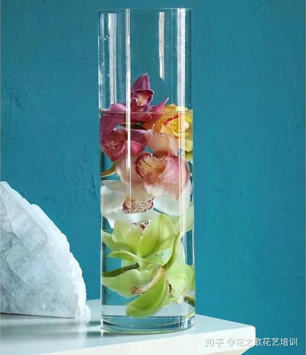 植物养护 大花惠兰的养护攻略 知乎