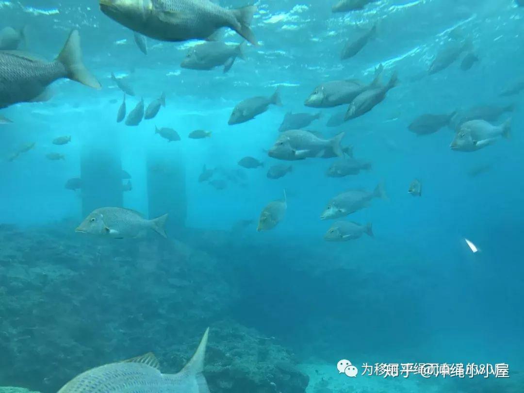 12月1月冲绳生活体验移居考察计划安排