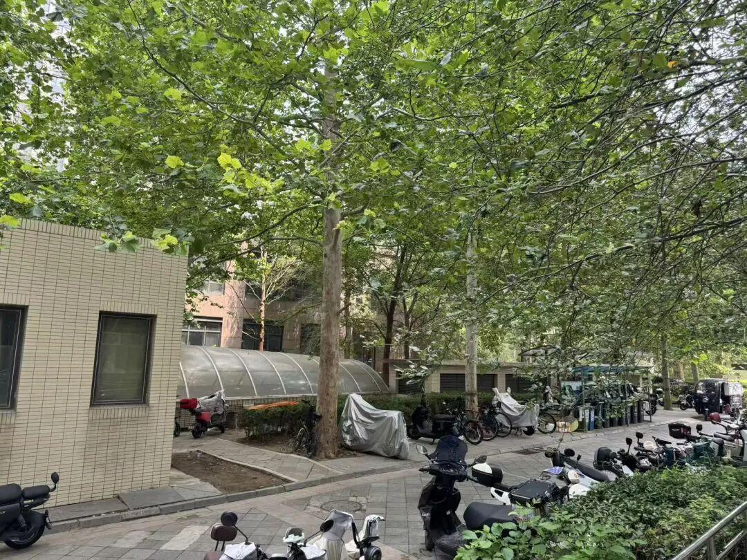 北京朝阳买房,到底选朝青还是常营? - 知乎