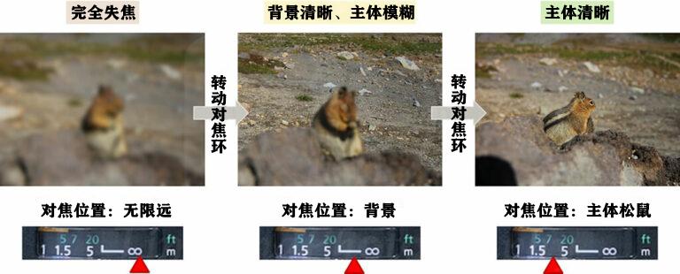 摄影新手入门:对焦模式怎么选择?一张表看懂相机对焦区域和对焦模式 - 知乎