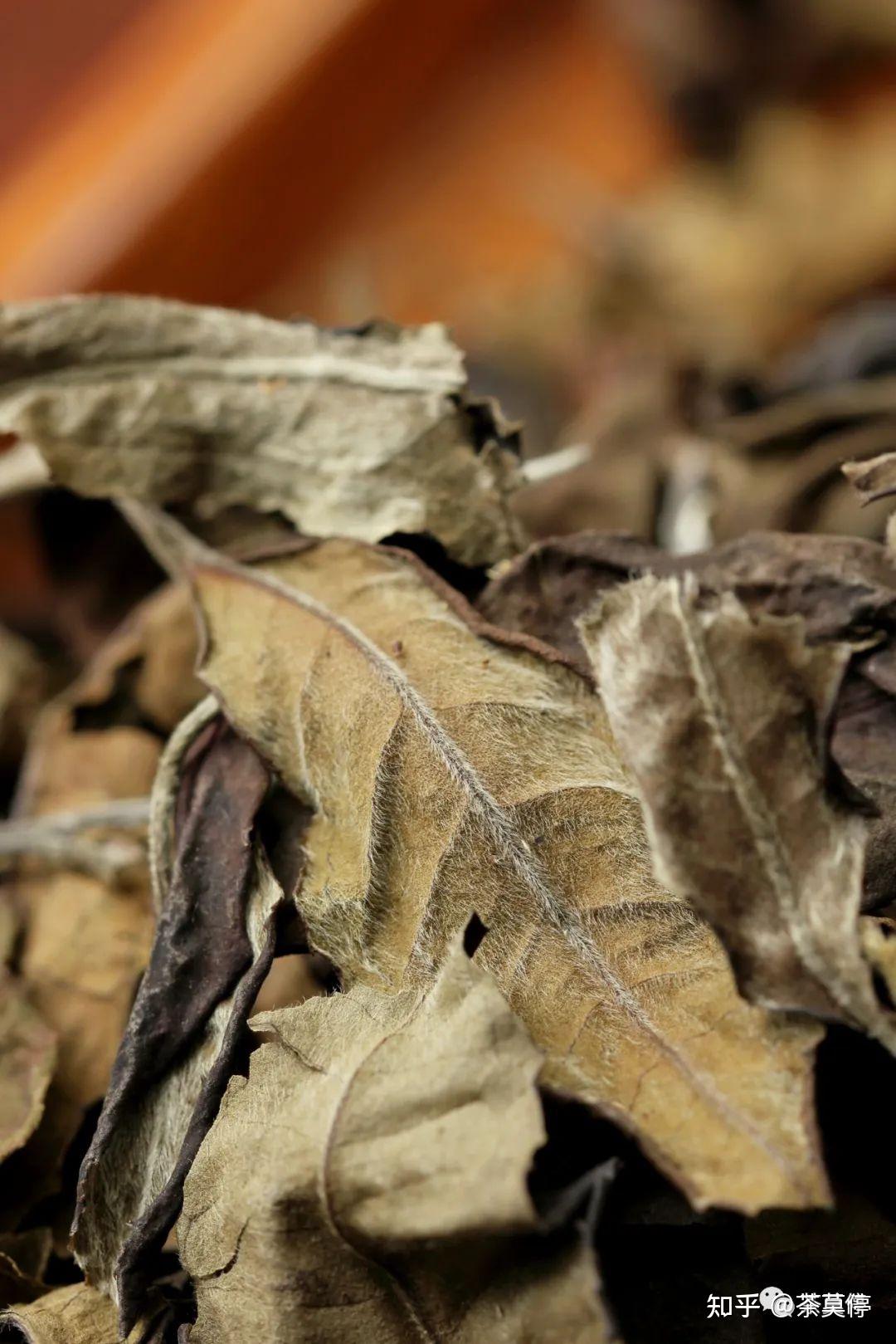 麻黑白茶,它未经雕琢的天然风韵,简约而不简单.