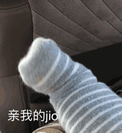 为什么很多知乎用户喜欢使用猫咪的表情包?