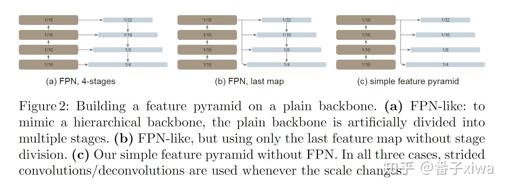 Vitdet vit fpn 