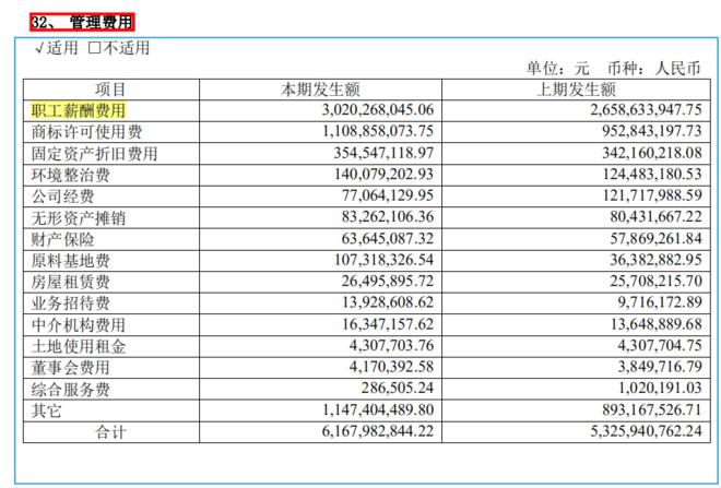 主要包括管理人員的工資,無形資產攤銷,股權激勵費用,研發費用等等.