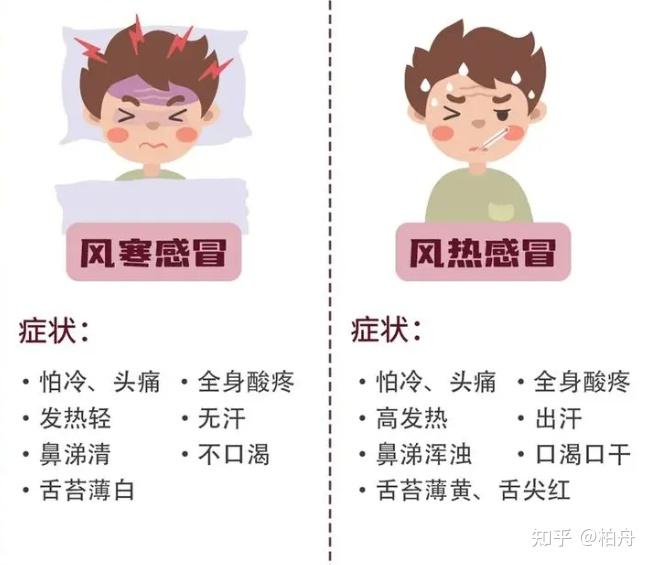 一次性讲清楚“风寒感冒”怎么治! - 知乎