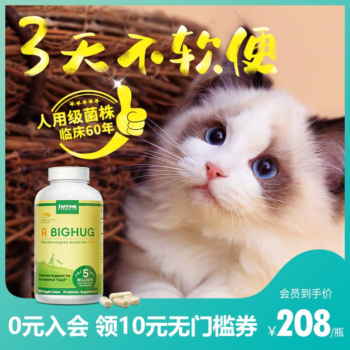 浅谈布拉迪酵母菌对猫肠胃的作用