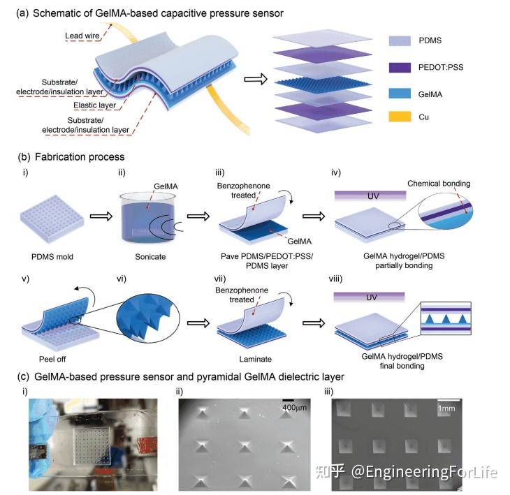 afm高灵敏度gelma水凝胶医用可穿戴触觉传感器