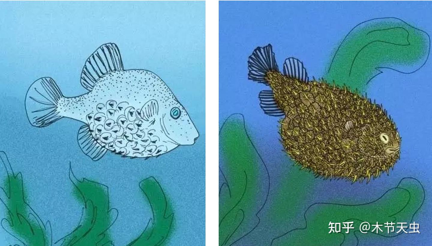 【鲀形目的演化史·其一】刺鲀,箱鲀,河鲀,鳞鲀 - 知乎