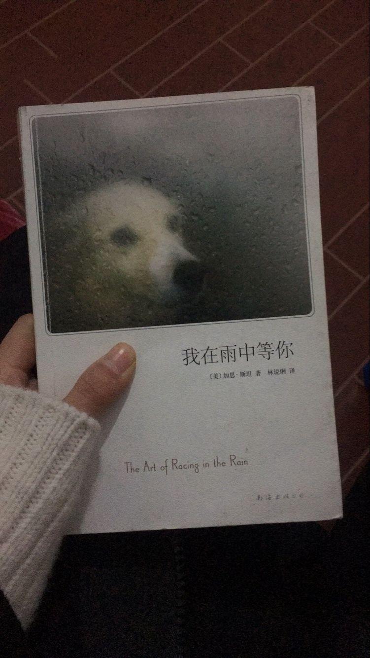《我在雨中等你》这本书翻译水平如何?