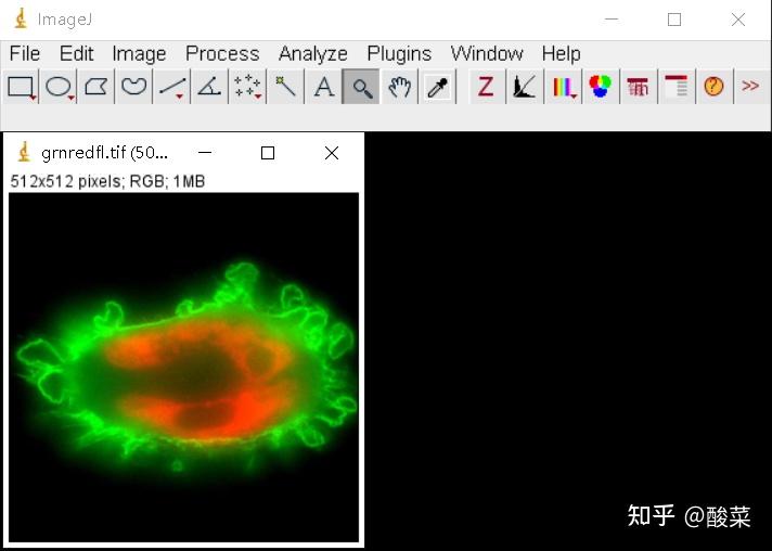 老司机带你使用imagej高效分析图片