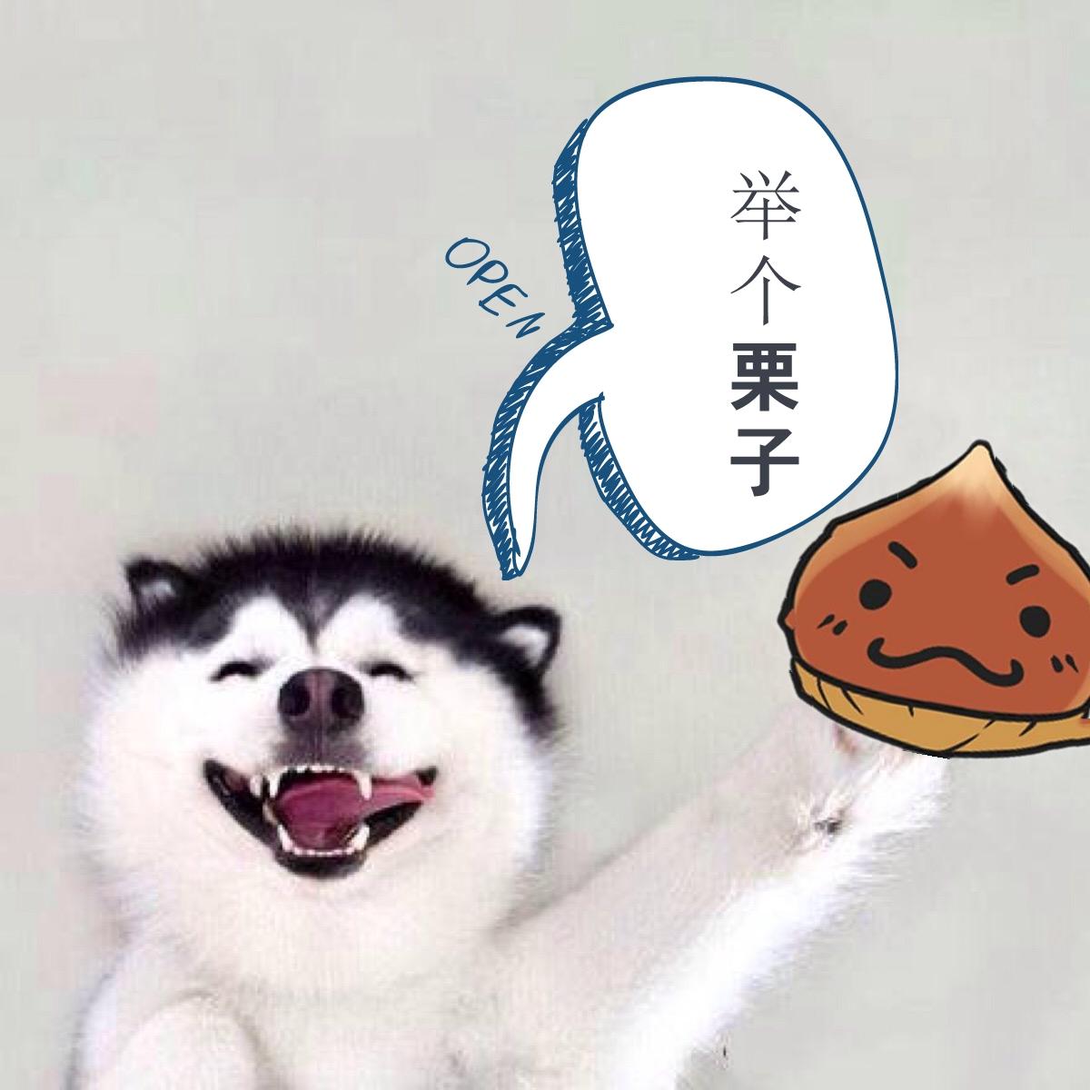 核動力表情包——西伯利亞哈士奇(siberian husky)