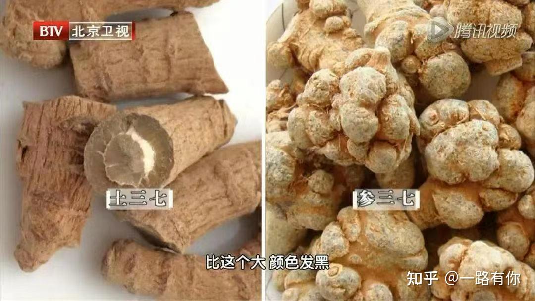 想要血管好，三七少不了？三七的药用与功效 - 知乎