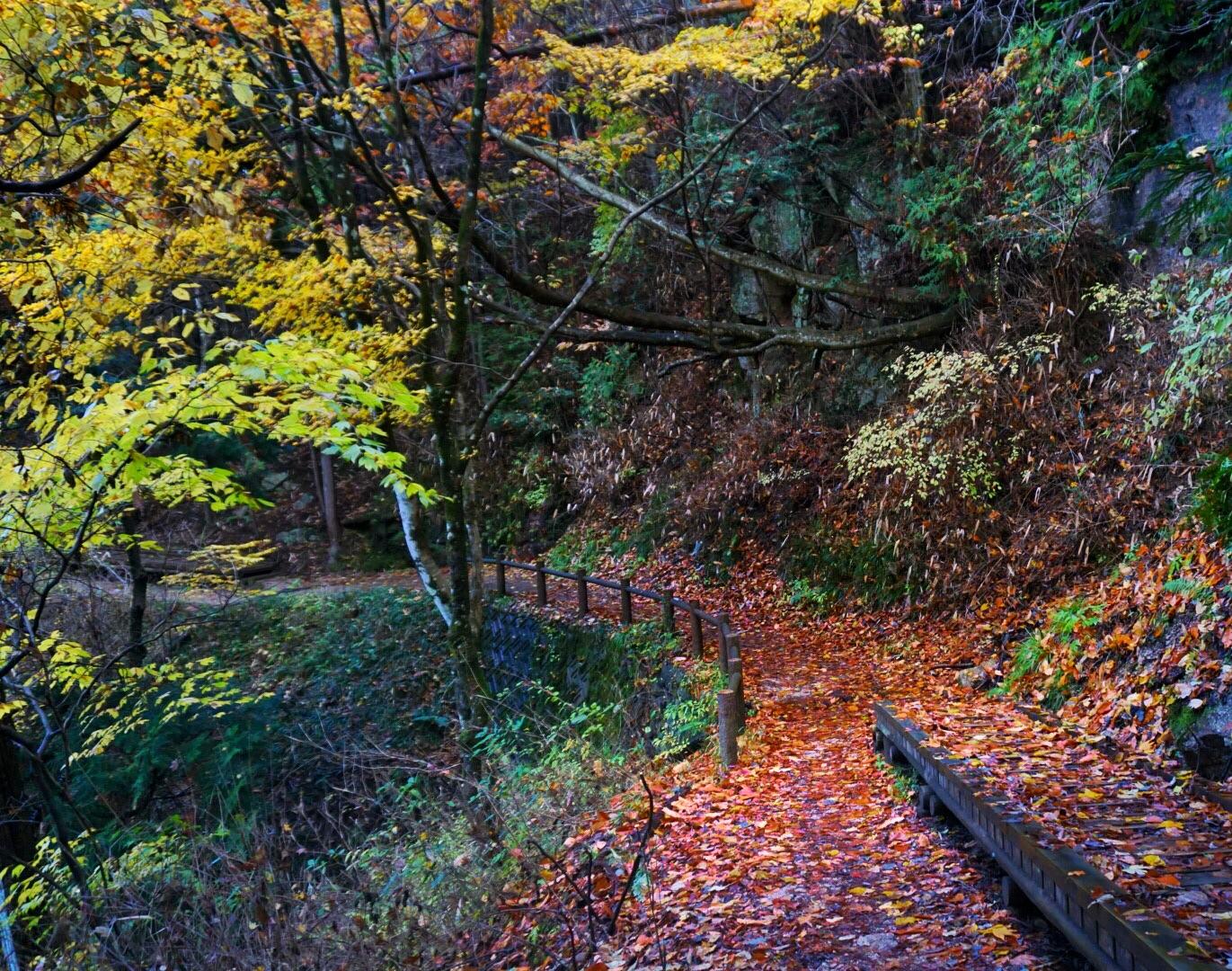 想去日本深度旅游,有哪些冷门的地方景点一定