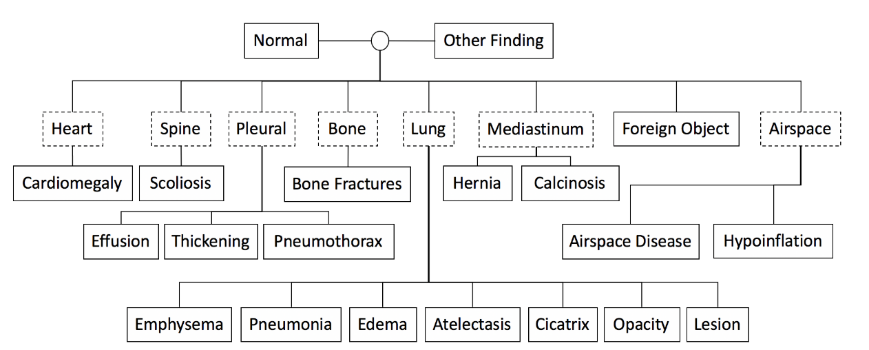  when radiology report generation meets knowledge graph 