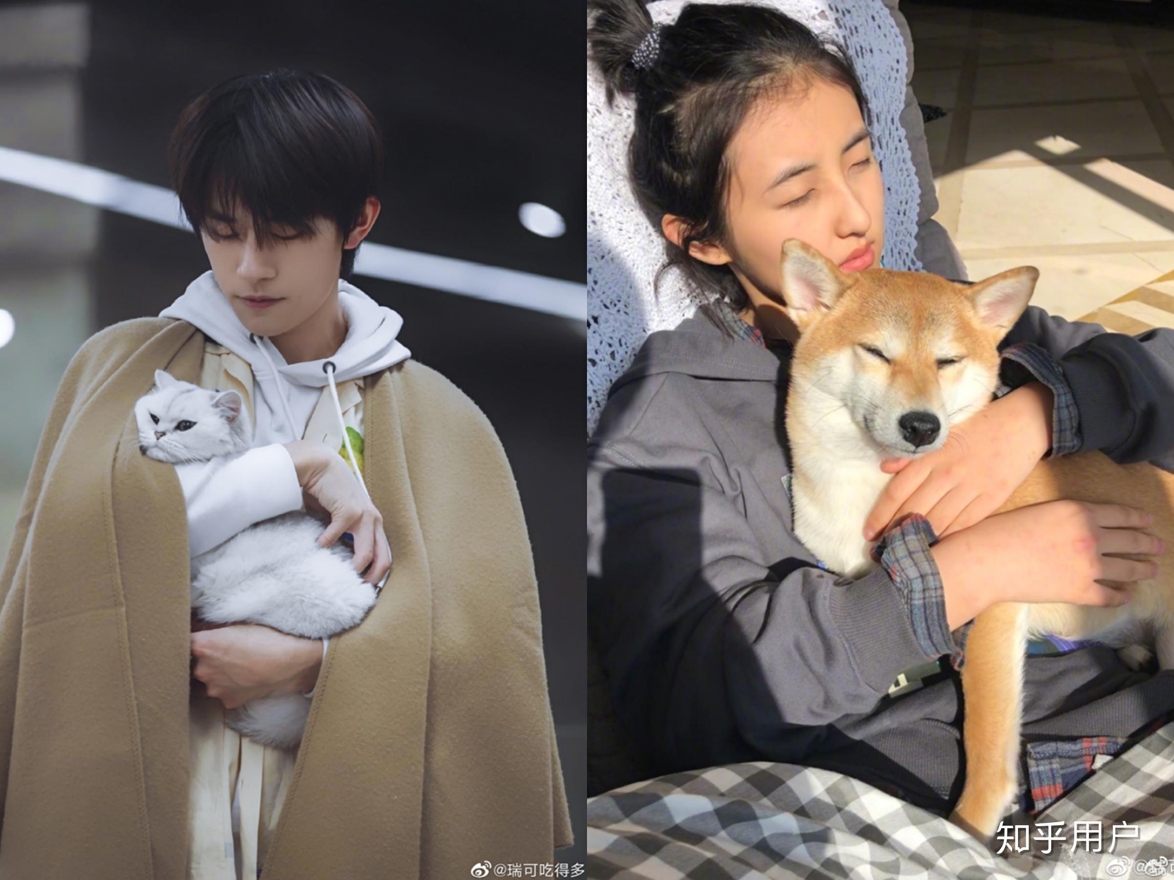 易烊千玺以后的对象会是什么样的