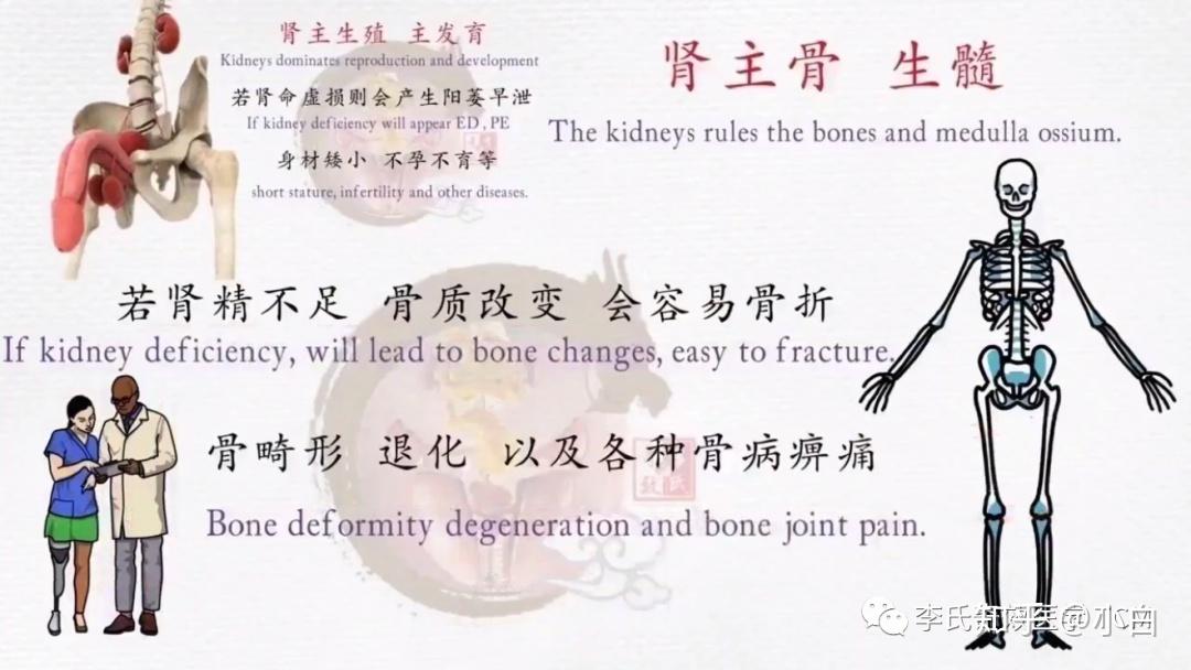 舌根与肾(李芳祥奇效舌诊动画版)