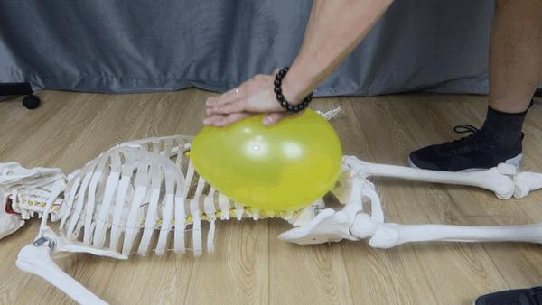 练腹不粗腰的秘密内容偏干需要理解不喜勿点