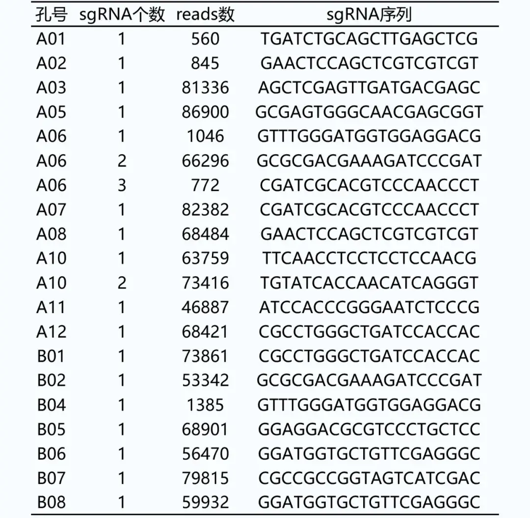 力薦你不會還在用一代測序鑑定crisprcas9載體庫吧