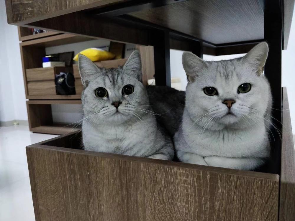 在墨墨科技(墨墨背单词)工作是一种怎样的体验