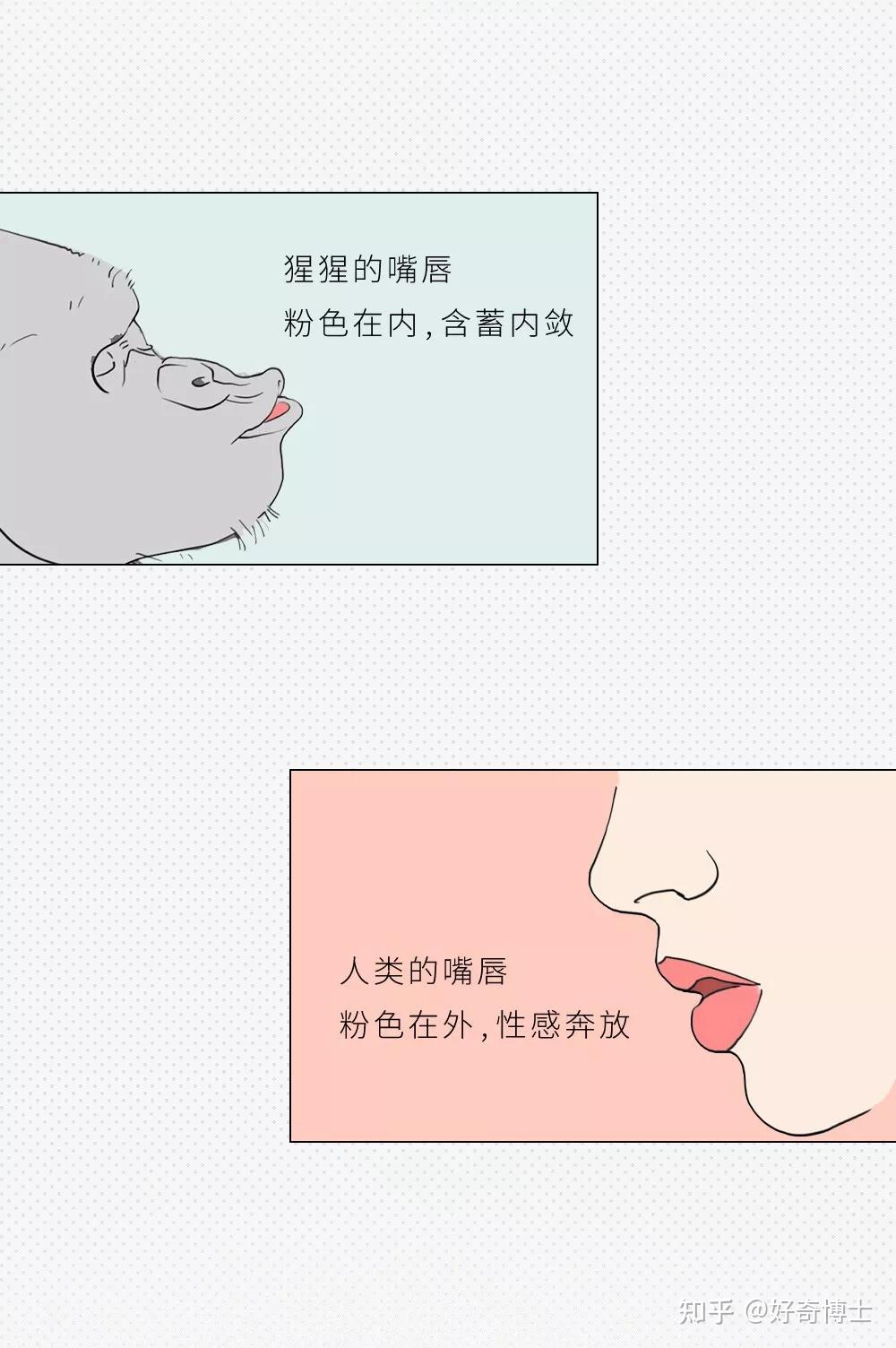 为什么接吻的时候要伸舌头? - 知乎