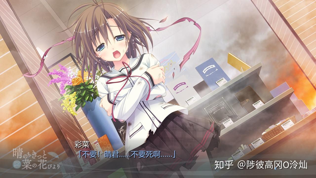 parasol社晴菜花浅谈谨以此留念