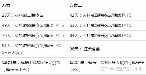 狗狗免疫小常识(一) - 知乎