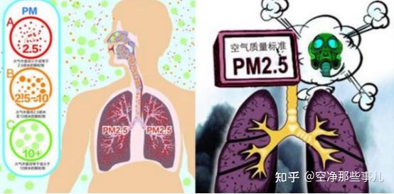 2026年除甲醛的空气净化器哪个牌子好?爆热品牌测评来了