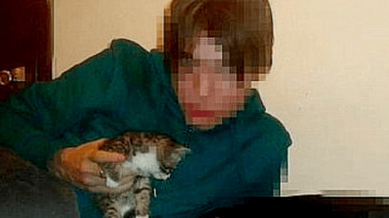 虐猫碎尸案背后 我们都是共犯 知乎 虐猫碎尸案背后 我们都是共犯 知乎