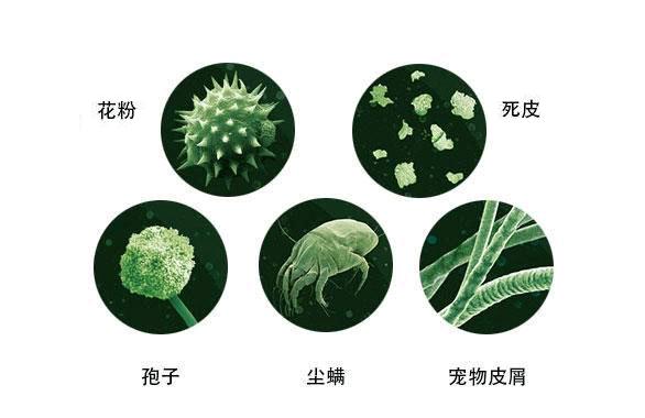 首大崔顺九6个靠谱的鼻炎防复发的妙招第一招就很管用