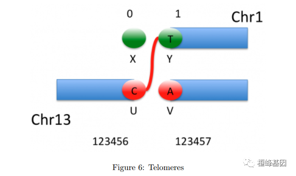 DNA 5. 基因组变异文件VCF格式详解 - 知乎