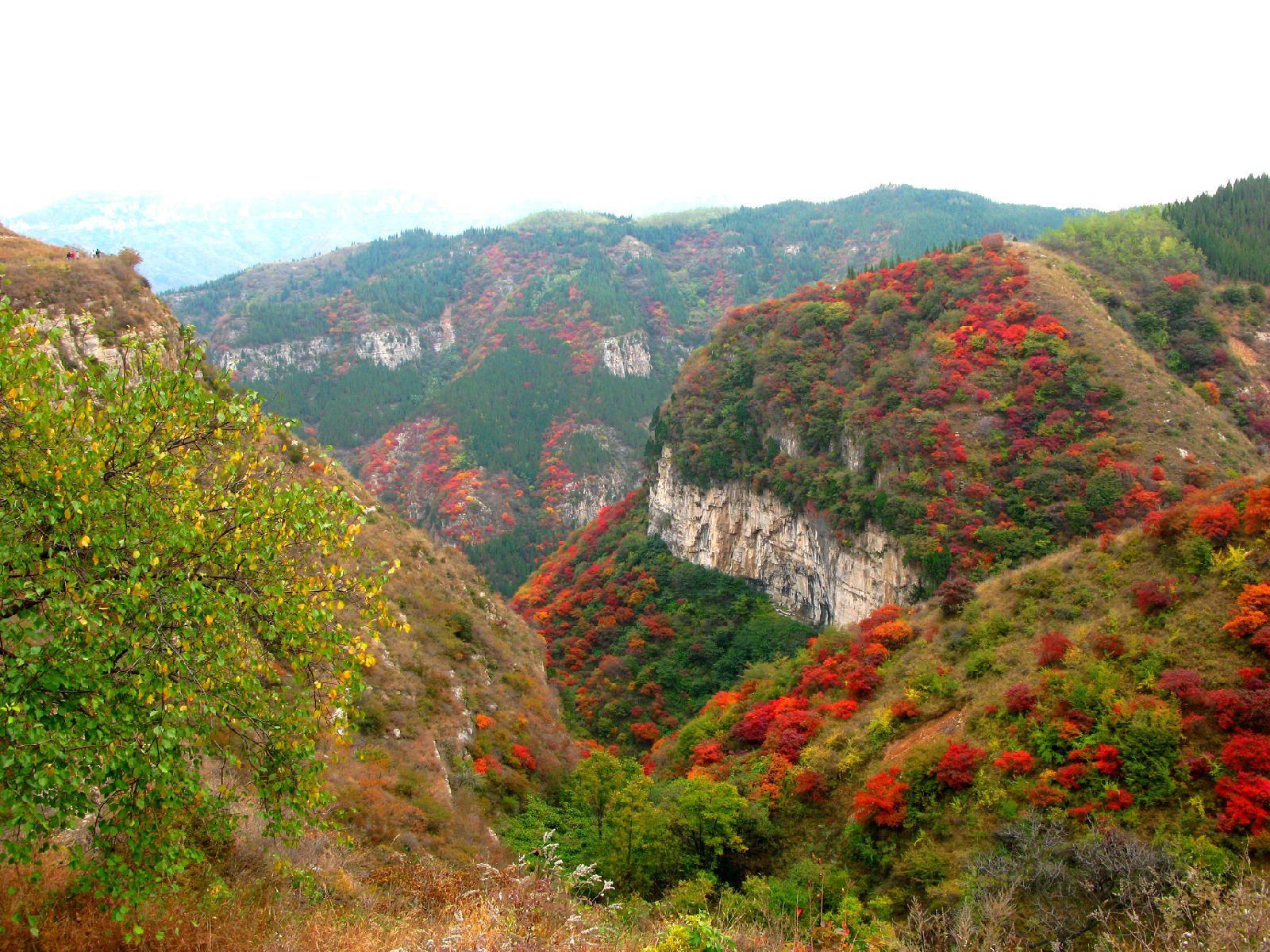 山东秋季旅游景点推荐仰天山景区旅游攻略低音号免费语音导游