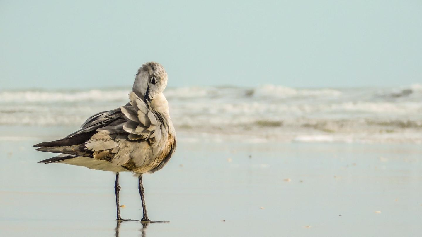 一条龙关于anaconda与pycharm的安装与基础配置中出现的常见问题与