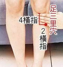 按什么穴位补气 v2-67c35b779331a4239f84aaad309b2bce_b.jpg