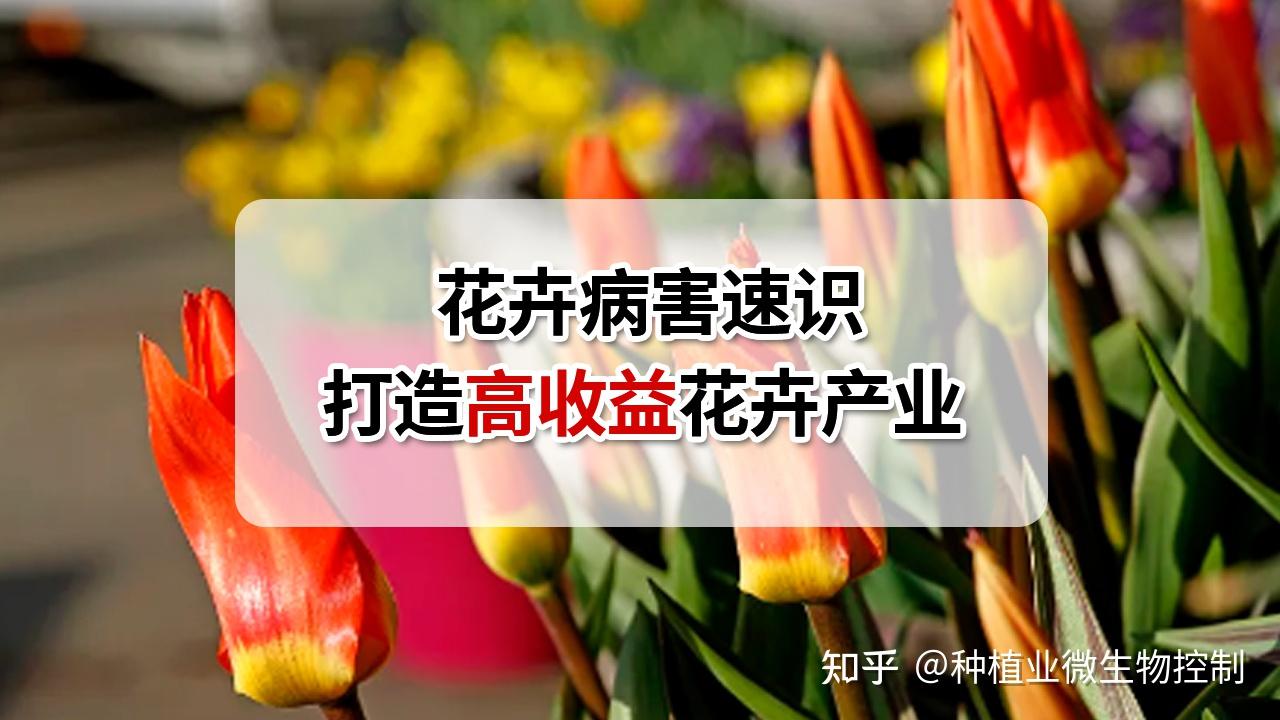 看懂植物的