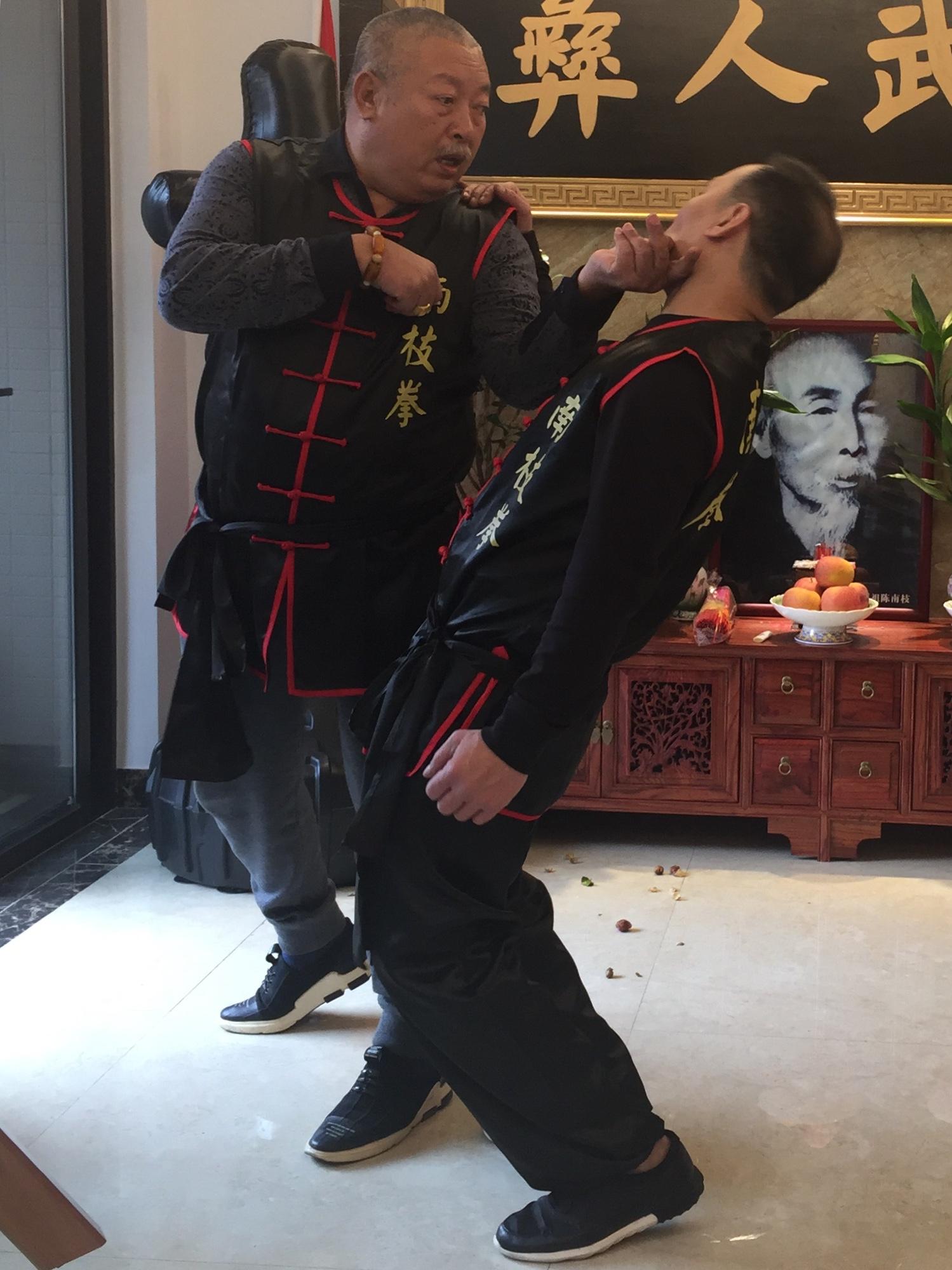 武德行天下专访南枝拳第五代传人梁若彝先生