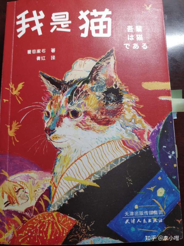 夏目漱石 我是猫 以猫之名 知乎